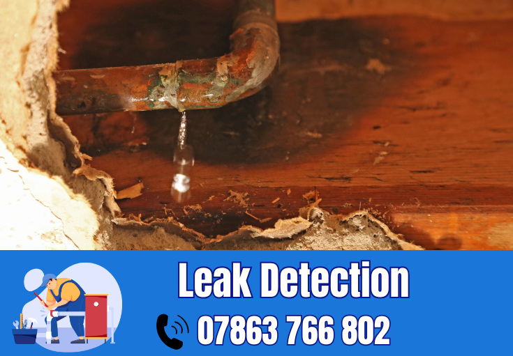 leak detection Lymm